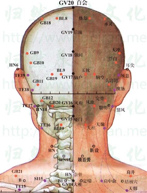 腦門穴|腦空穴位置 